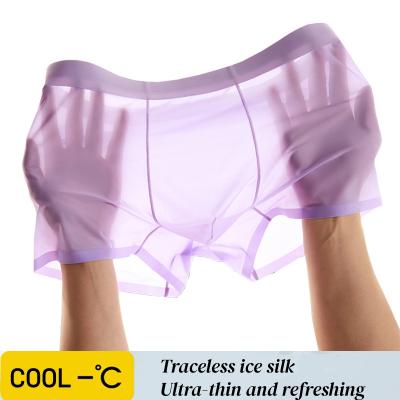 3 Pcs Large Pouch Thin Transparent Men's Underwear
